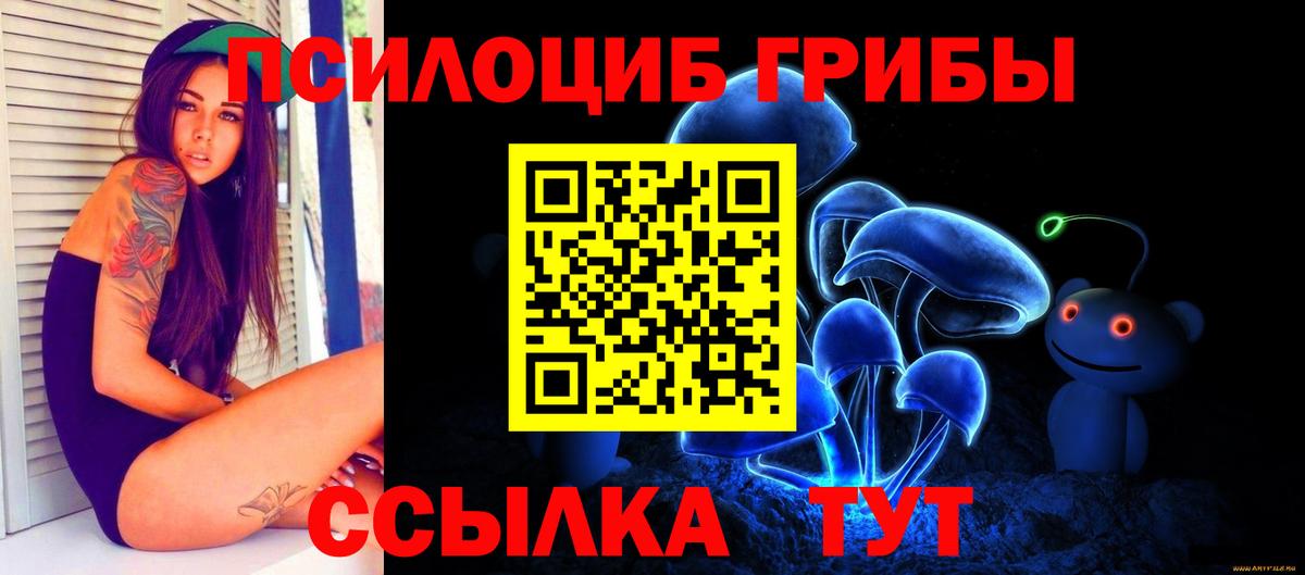 Псилоцибиновые грибы Psilocybe  Вход с VPN  Раменское 